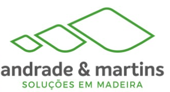 Andrade Martins